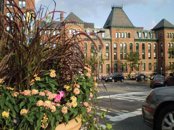 One of the flower planters installed by the Lower Mills Merchants Association sits at the corner of Washington Street and Dorchester Avenue.