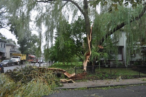 Clean-up crews at work on Burgoyne St. in Ashmont: Photo by Ed Forry