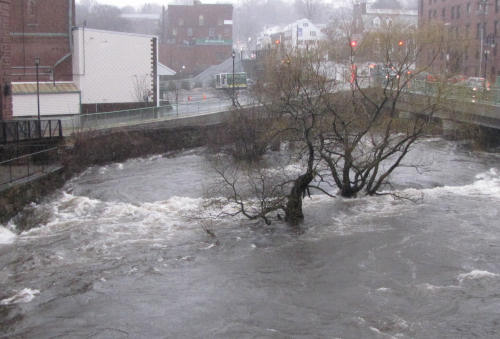 Neponset downstream of the dam