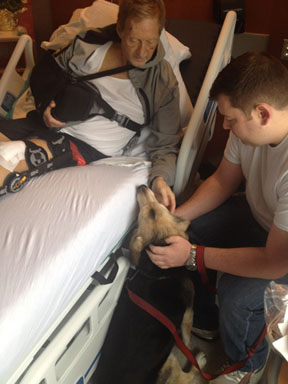 Canine caregiver: Lucy greets John Miles in his hospital bed.