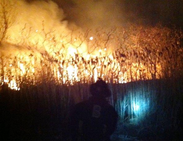 Neponset brush fire. Photo by Boston Fire.