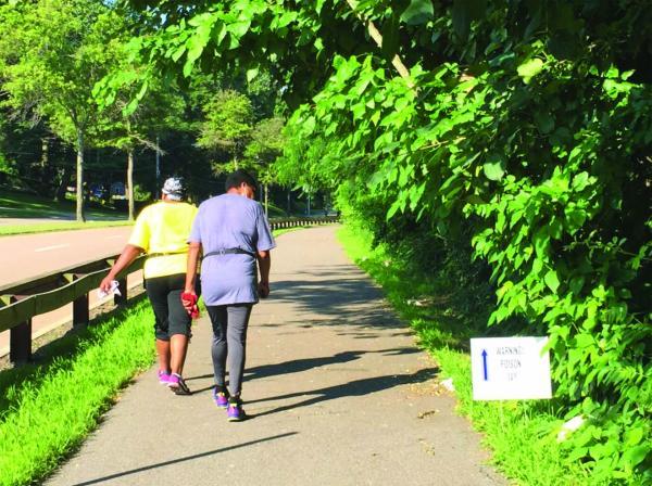 Poison Ivy that hangs over a portion of the Neponset Greenway near Mattapan Square is a hazard to walkers and bicyclists. Lee Toma photo.