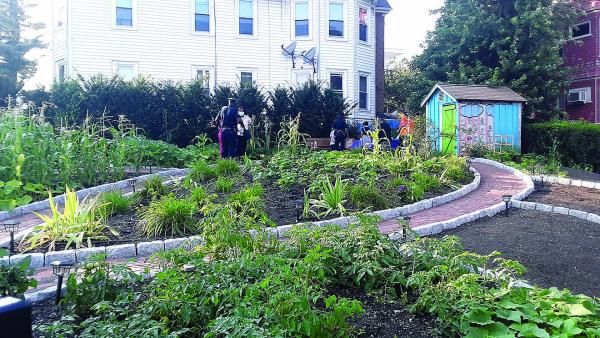 Bowdoin Street Health Center Calls The Rehab Of Neighborhood Garden A Plus On Many Counts Dorchester Reporter